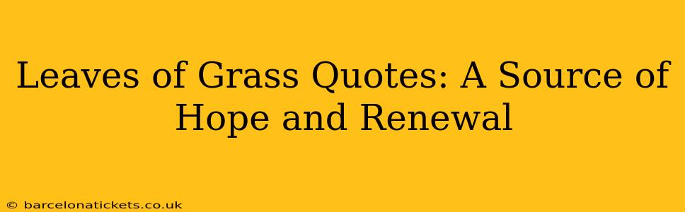 Leaves of Grass Quotes: A Source of Hope and Renewal