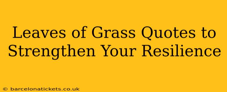 Leaves of Grass Quotes to Strengthen Your Resilience