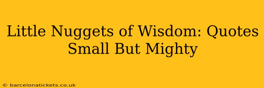 Little Nuggets of Wisdom: Quotes Small But Mighty