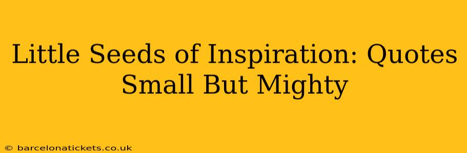 Little Seeds of Inspiration: Quotes Small But Mighty