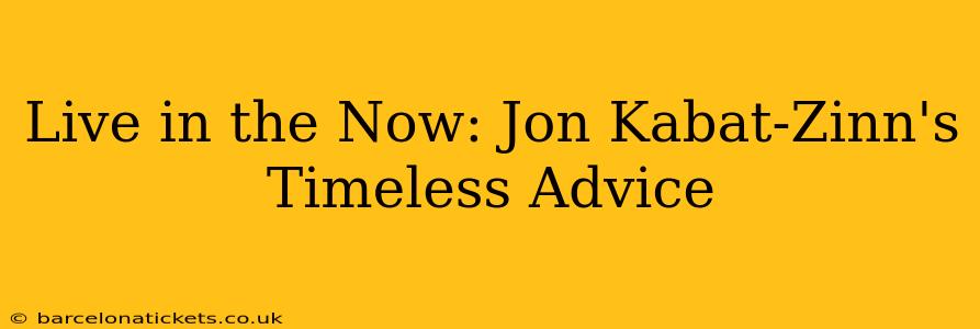 Live in the Now: Jon Kabat-Zinn's Timeless Advice