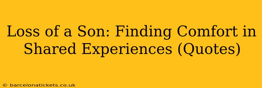 Loss of a Son: Finding Comfort in Shared Experiences (Quotes)