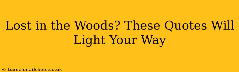 Lost in the Woods? These Quotes Will Light Your Way