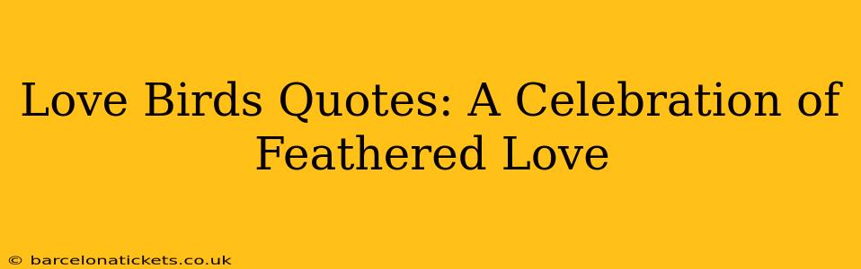 Love Birds Quotes: A Celebration of Feathered Love