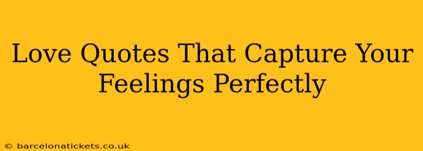 Love Quotes That Capture Your Feelings Perfectly