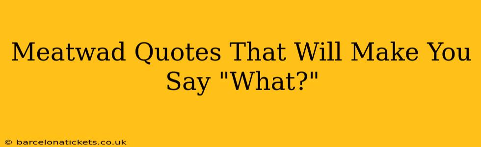 Meatwad Quotes That Will Make You Say "What?"