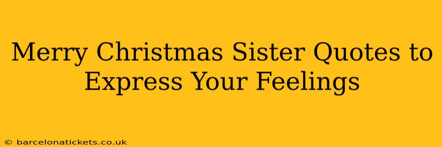 Merry Christmas Sister Quotes to Express Your Feelings