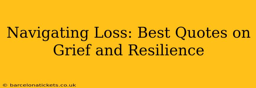 Navigating Loss: Best Quotes on Grief and Resilience