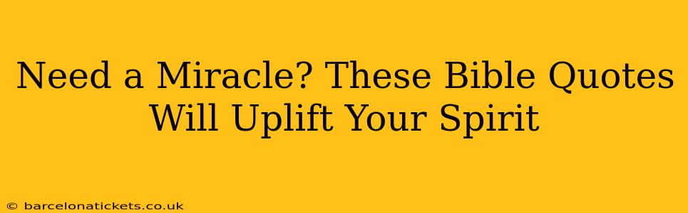 Need a Miracle? These Bible Quotes Will Uplift Your Spirit
