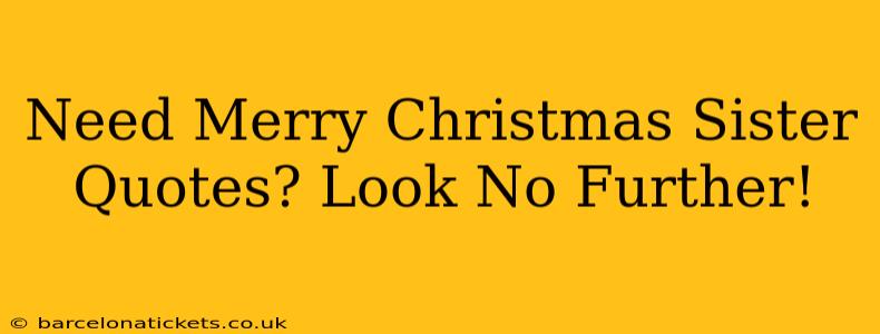 Need Merry Christmas Sister Quotes? Look No Further!