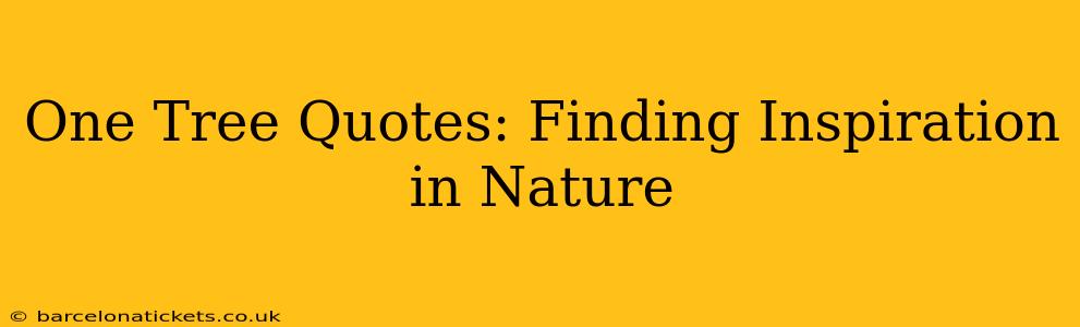 One Tree Quotes: Finding Inspiration in Nature