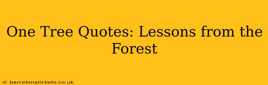 One Tree Quotes: Lessons from the Forest