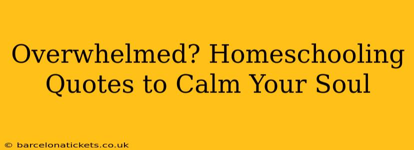 Overwhelmed? Homeschooling Quotes to Calm Your Soul