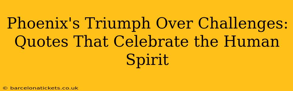 Phoenix's Triumph Over Challenges: Quotes That Celebrate the Human Spirit