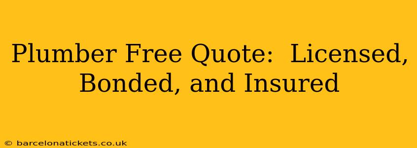 Plumber Free Quote:  Licensed, Bonded, and Insured