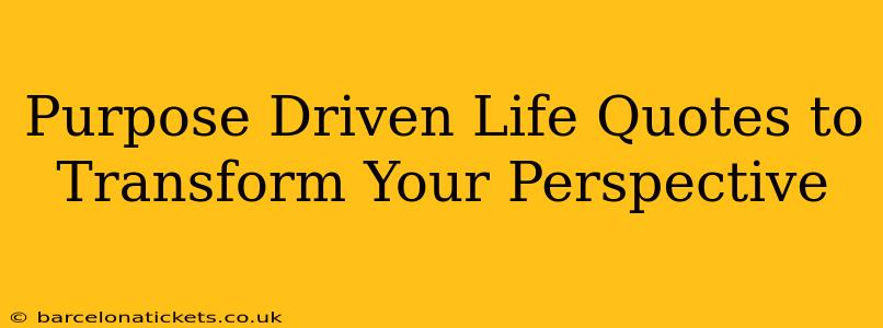 Purpose Driven Life Quotes to Transform Your Perspective