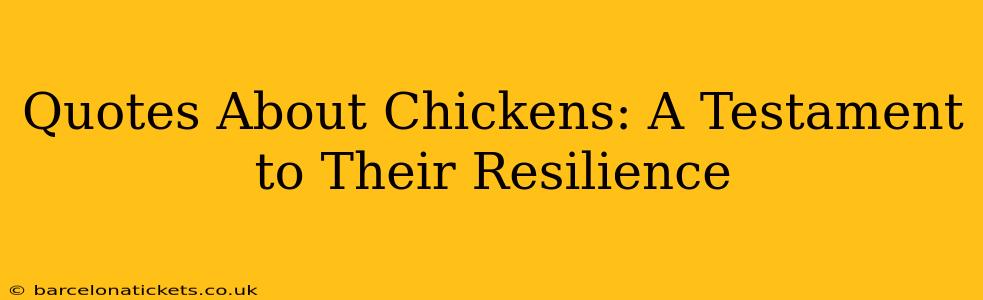 Quotes About Chickens: A Testament to Their Resilience