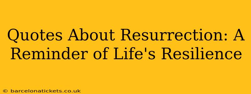 Quotes About Resurrection: A Reminder of Life's Resilience
