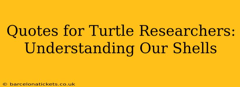 Quotes for Turtle Researchers: Understanding Our Shells