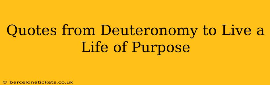 Quotes from Deuteronomy to Live a Life of Purpose