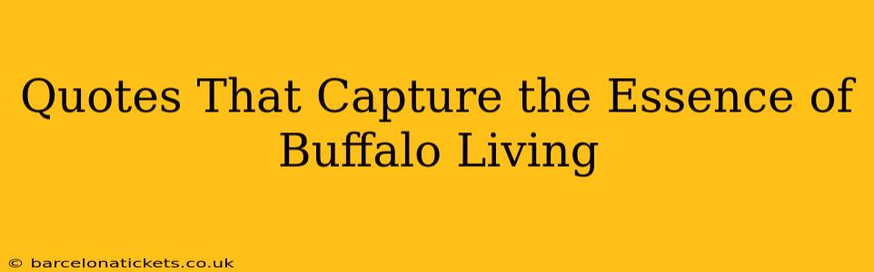Quotes That Capture the Essence of Buffalo Living