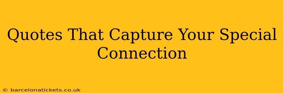 Quotes That Capture Your Special Connection