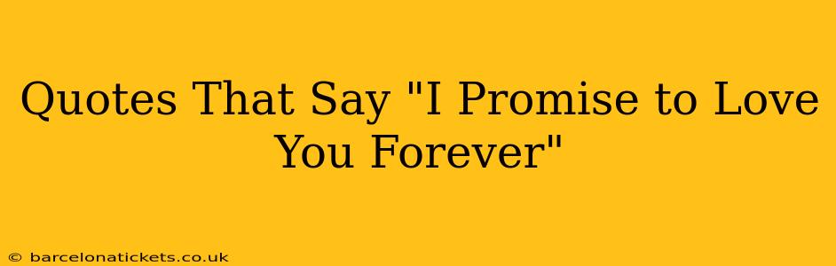 Quotes That Say "I Promise to Love You Forever"
