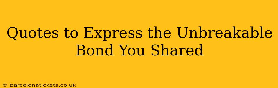 Quotes to Express the Unbreakable Bond You Shared