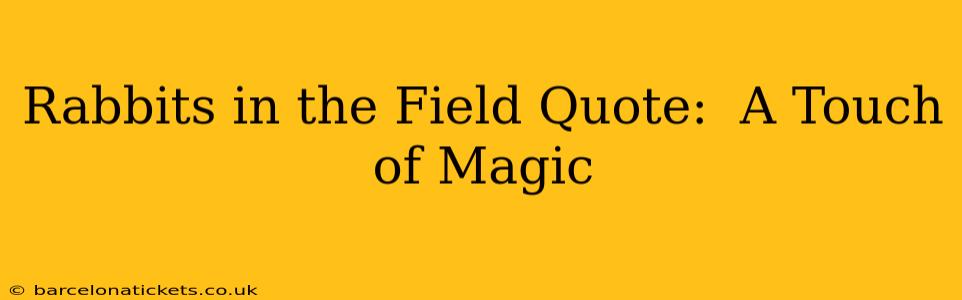 Rabbits in the Field Quote:  A Touch of Magic
