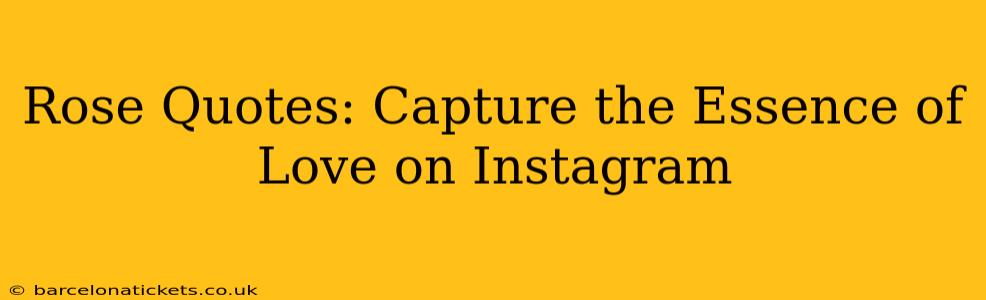 Rose Quotes: Capture the Essence of Love on Instagram