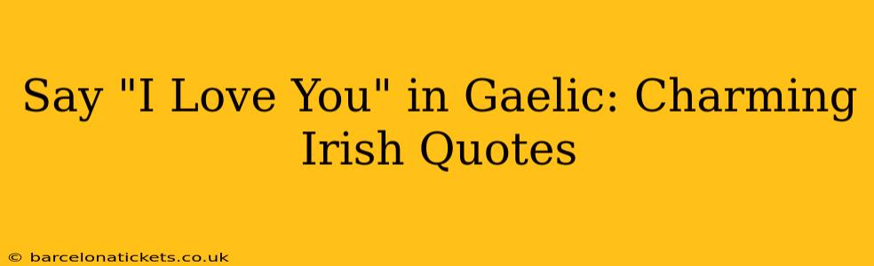 Say "I Love You" in Gaelic: Charming Irish Quotes