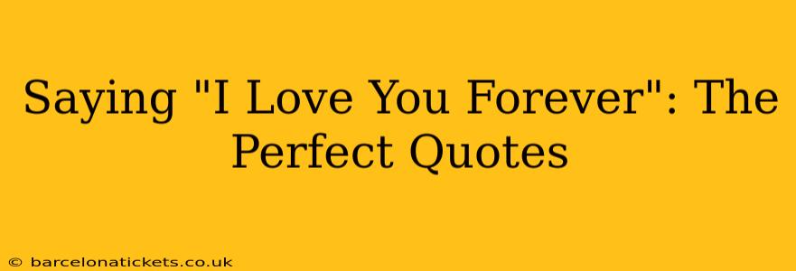 Saying "I Love You Forever": The Perfect Quotes