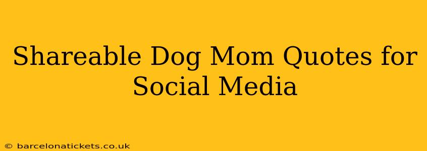 Shareable Dog Mom Quotes for Social Media