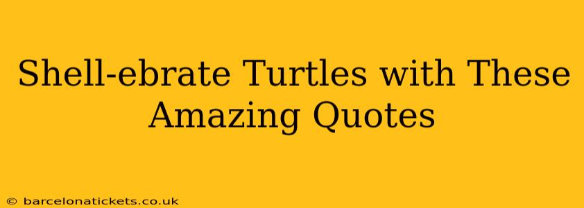 Shell-ebrate Turtles with These Amazing Quotes