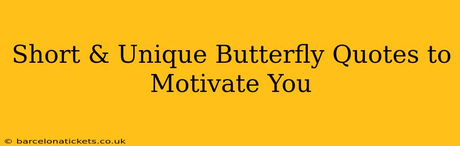 Short & Unique Butterfly Quotes to Motivate You