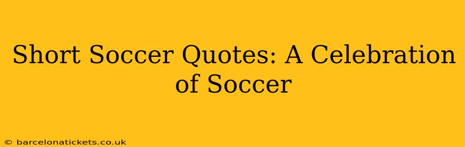 Short Soccer Quotes: A Celebration of Soccer