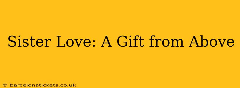 Sister Love: A Gift from Above