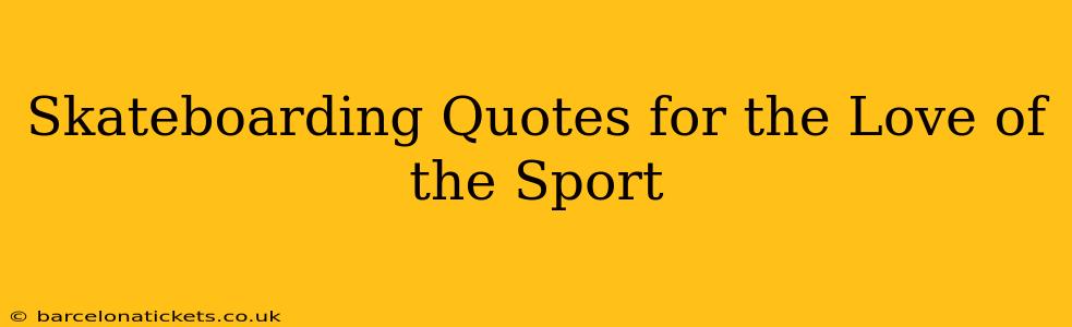 Skateboarding Quotes for the Love of the Sport