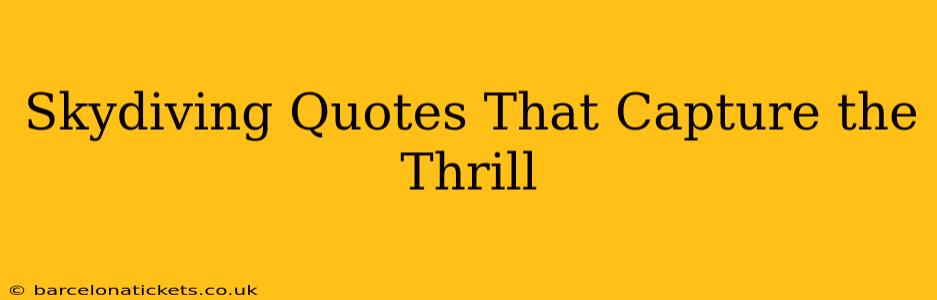 Skydiving Quotes That Capture the Thrill