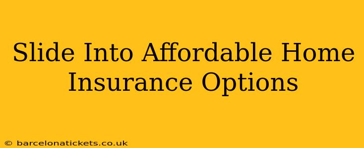 Slide Into Affordable Home Insurance Options