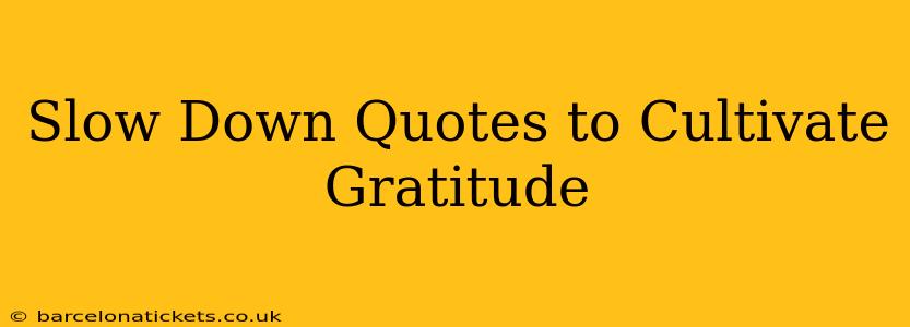 Slow Down Quotes to Cultivate Gratitude