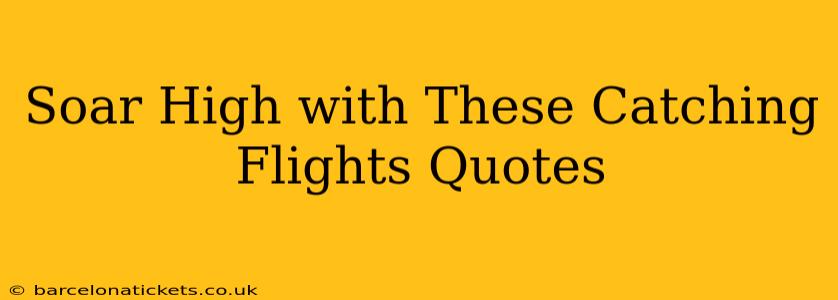 Soar High with These Catching Flights Quotes