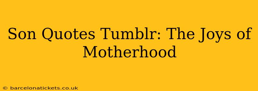Son Quotes Tumblr: The Joys of Motherhood