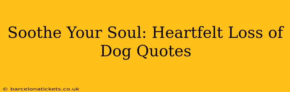 Soothe Your Soul: Heartfelt Loss of Dog Quotes