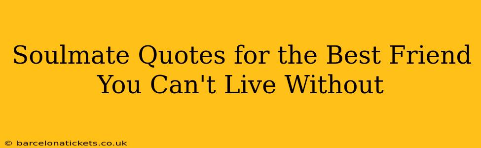 Soulmate Quotes for the Best Friend You Can't Live Without