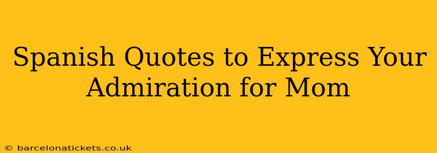 Spanish Quotes to Express Your Admiration for Mom