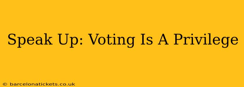 Speak Up: Voting Is A Privilege