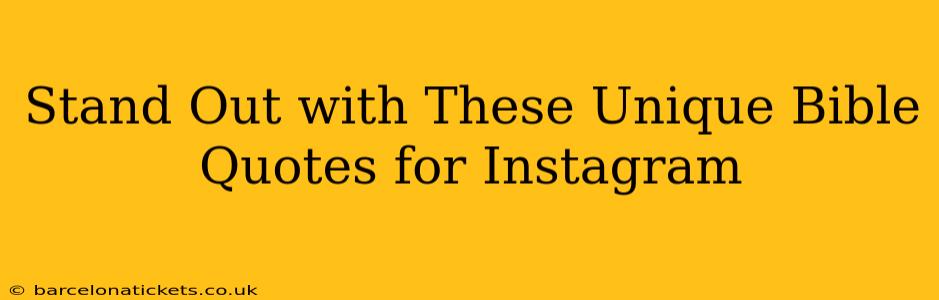 Stand Out with These Unique Bible Quotes for Instagram