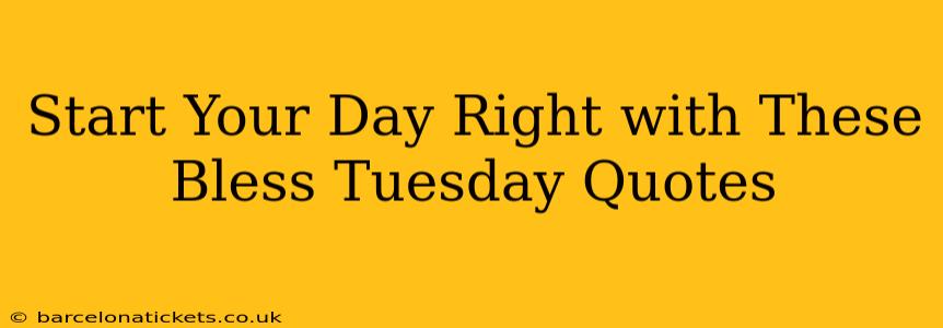 Start Your Day Right with These Bless Tuesday Quotes