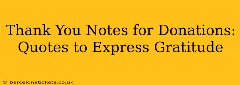 Thank You Notes for Donations:  Quotes to Express Gratitude